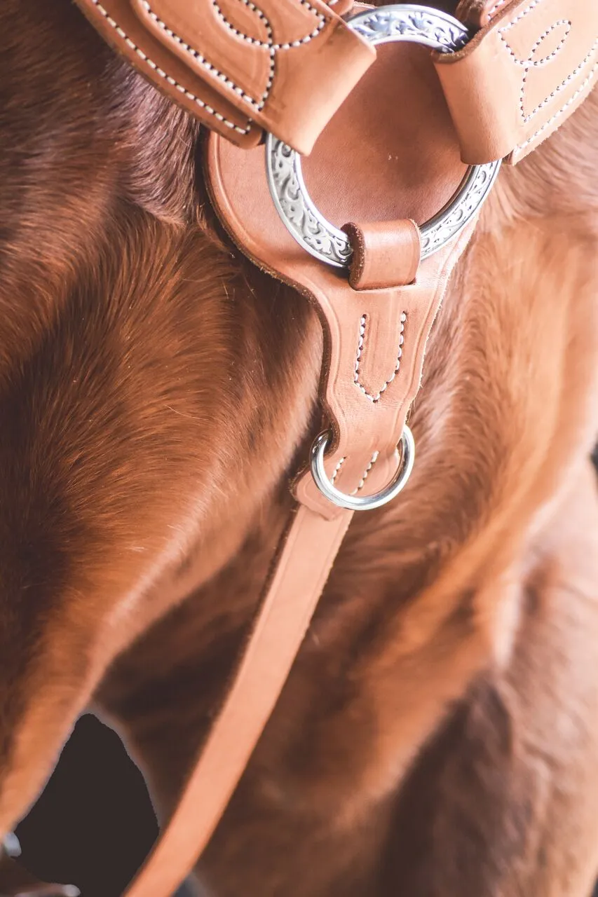 Drovers Saddlery Made Y Shaped Western Breastplate