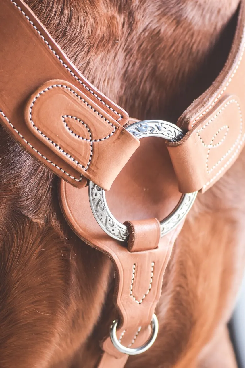 Drovers Saddlery Made Y Shaped Western Breastplate