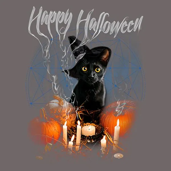 Happy Halloween Black Cat Custom T-Shirt